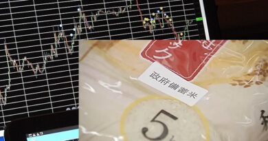 【“政府備蓄米”販売裏事情】ハザールマフィアは 国民を奴隷化するために日本の食糧供給を支配したい…
