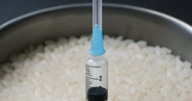 『ムコライス』コメにワクチン抗原（遺伝子組換え）を組み込んだ 経口ワクチン米が普及準備中