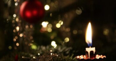 地球にやって来たライトワーカーの役割―基本的な４つの仕事