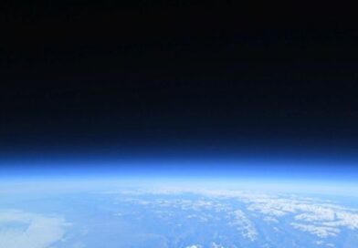 最新情報（COBRA 2026/02/22）