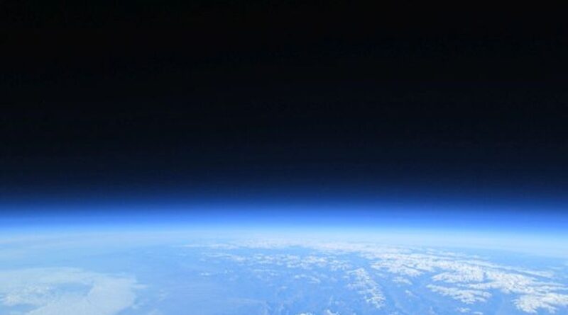 最新情報（COBRA 2026/02/22）