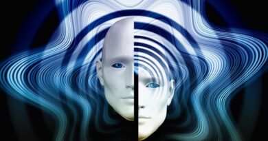 ペルソナの死を通過儀礼とする自己統合～個性化の道