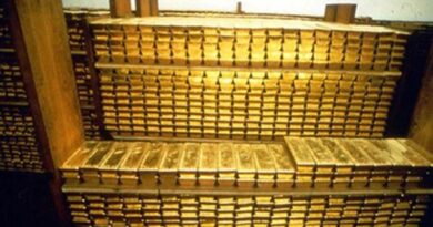 【資料要約9】非公式経済を理解する