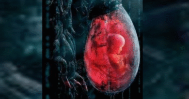 マトリックス：閉じ込められた世界と周波数帯域