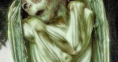 ルーシュに寄生する者たち