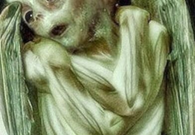 ルーシュに寄生する者たち