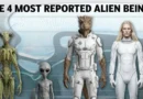 元政府研究者が、墜落したUFOから4種の異星人が回収されたと主張